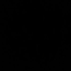 Meet your Posher, Mikey